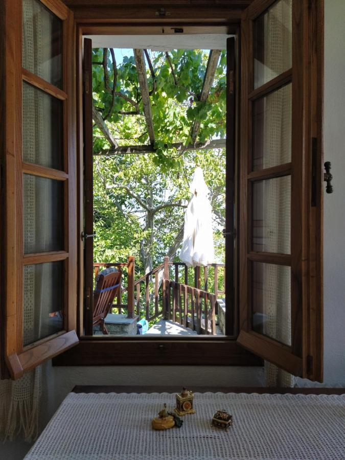 Villa Katerina Τσαγκαράδα Εξωτερικό φωτογραφία